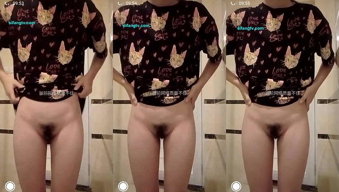 手机q指挥小学系列012