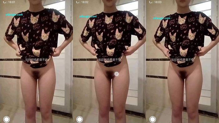 手机q指挥小学系列014