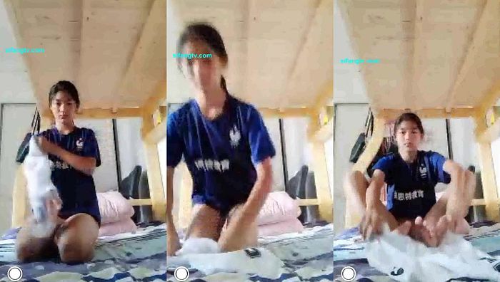 手机q指挥小学系列029