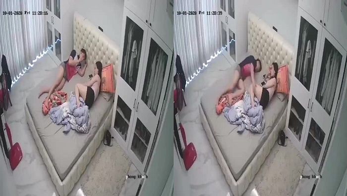 小马拉大车七系列067